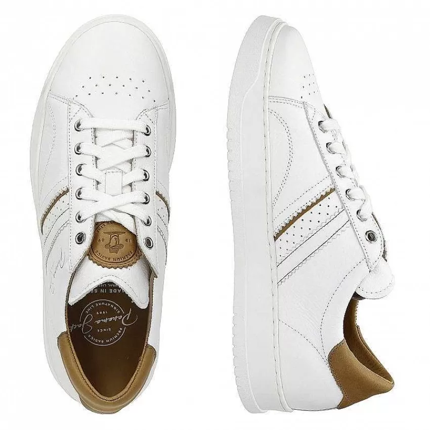 game_7.webp Game^Panama Jack Flash Sale