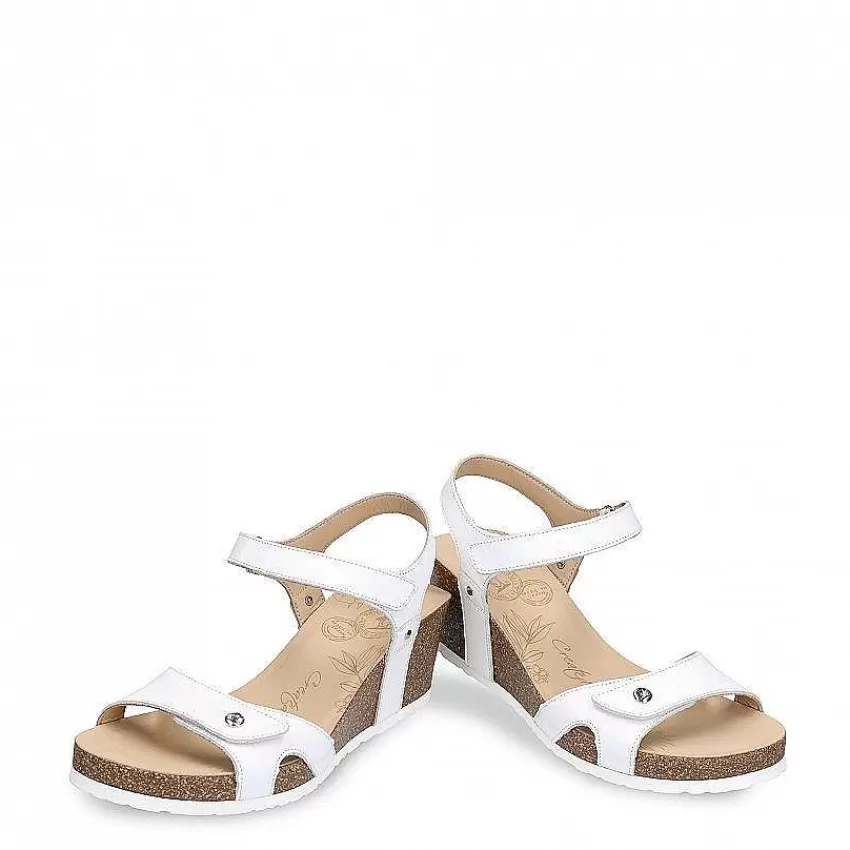 julia_basics_2-6.webp Julia Basics^Panama Jack Clearance