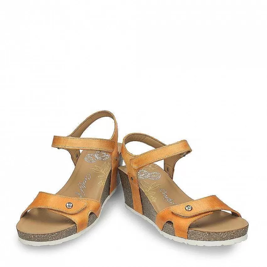 julia_basics_4-4.webp Julia Basics^Panama Jack Best