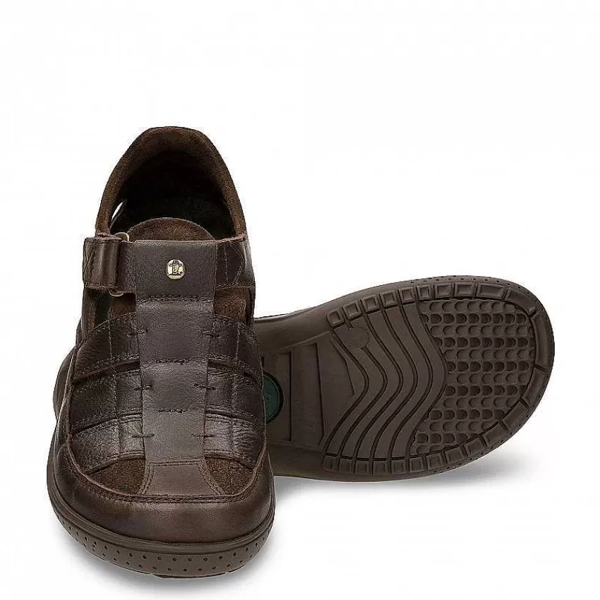 meridian_4-3.webp Meridian^Panama Jack Best