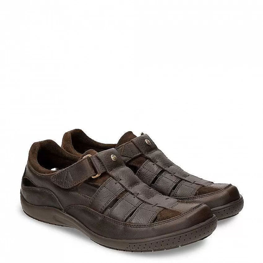 meridian_5-3.webp Meridian^Panama Jack Best