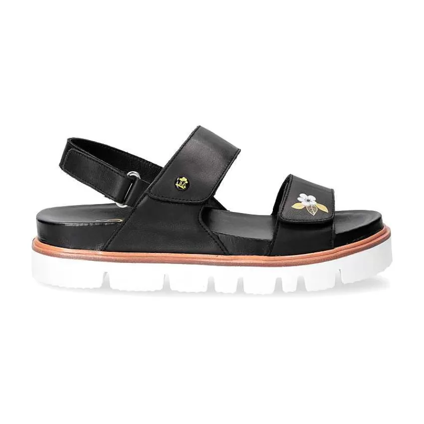 moka_blossom_1-1.webp Moka Blossom^Panama Jack Sale