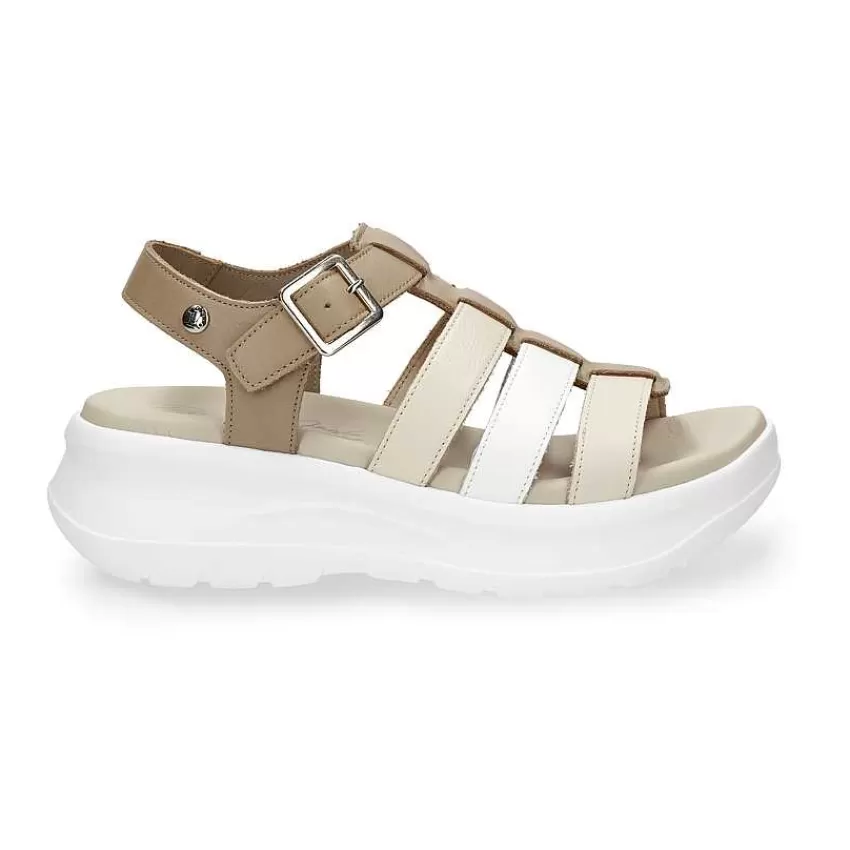 naila_colors_1-1.webp Naila Colors^Panama Jack Outlet