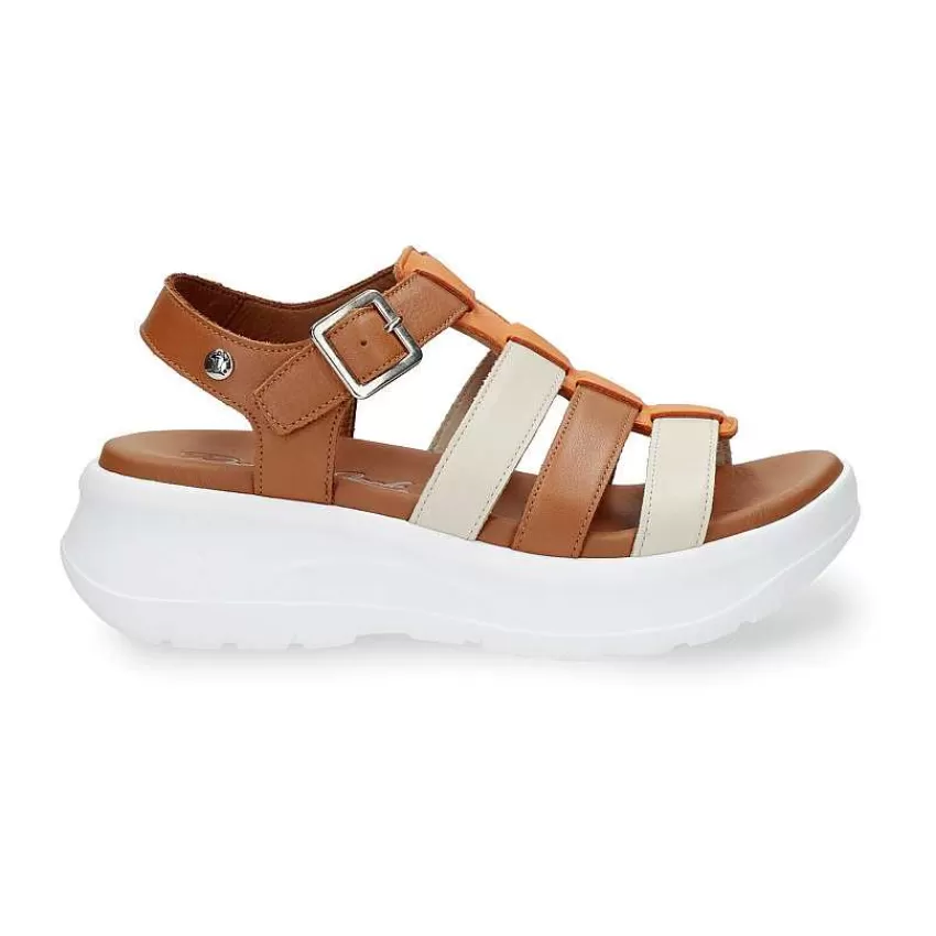 naila_colors_1-2.webp Naila Colors^Panama Jack Discount