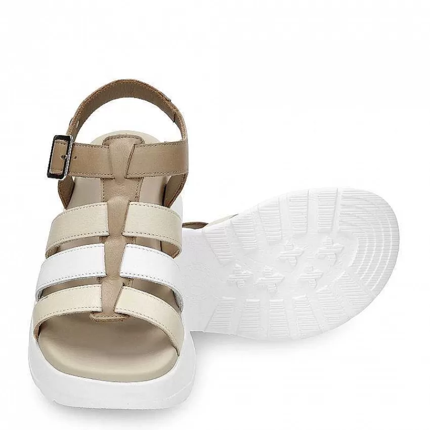 naila_colors_4-1.webp Naila Colors^Panama Jack Outlet