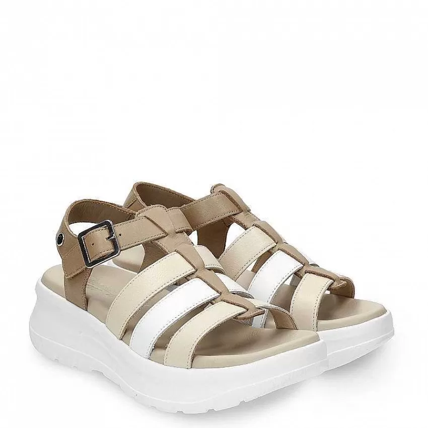 naila_colors_5-3.webp Naila Colors^Panama Jack Sale