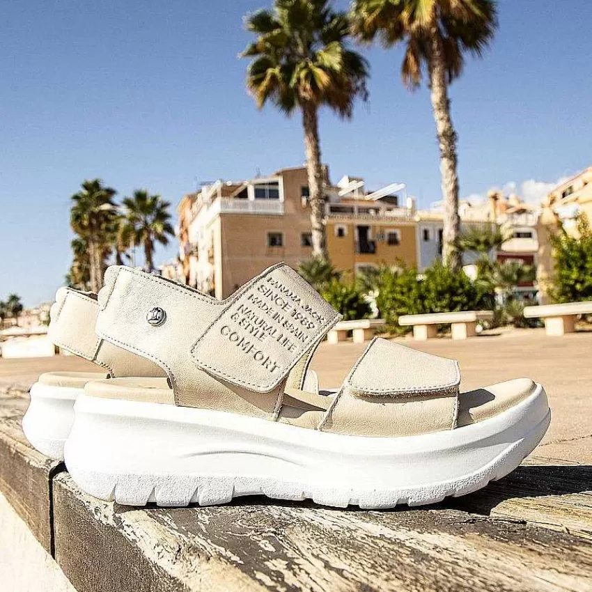 noah_10-1.webp Noah^Panama Jack Online