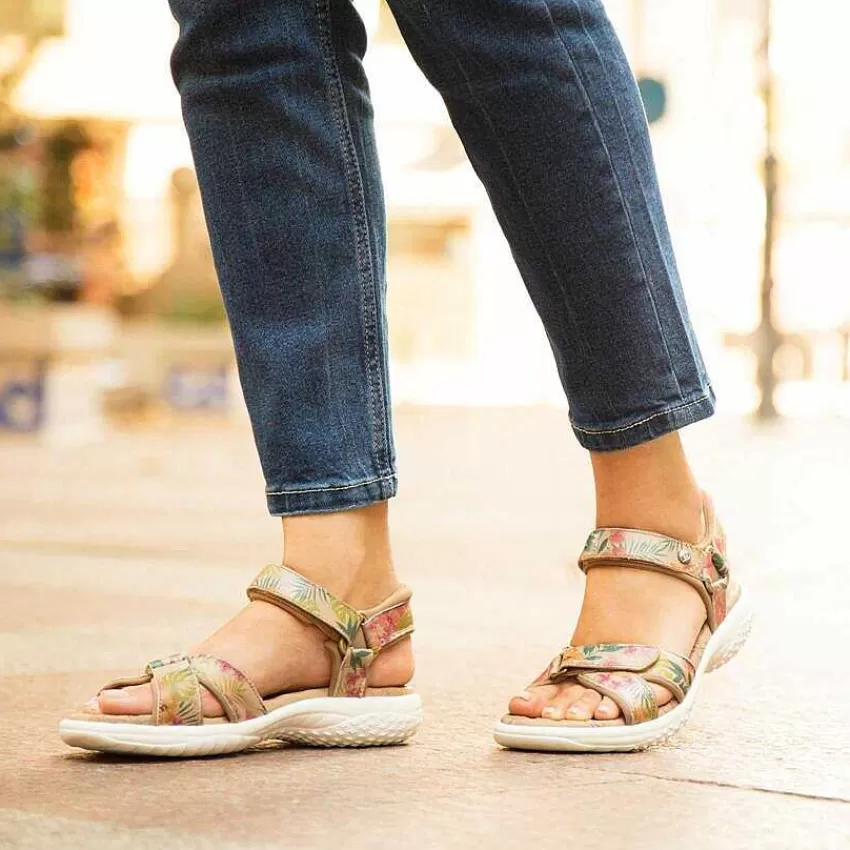 noja_tropical_1.webp Noja Tropical^Panama Jack Shop