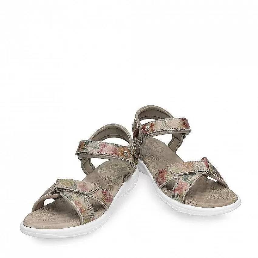 noja_tropical_3.webp Noja Tropical^Panama Jack Shop