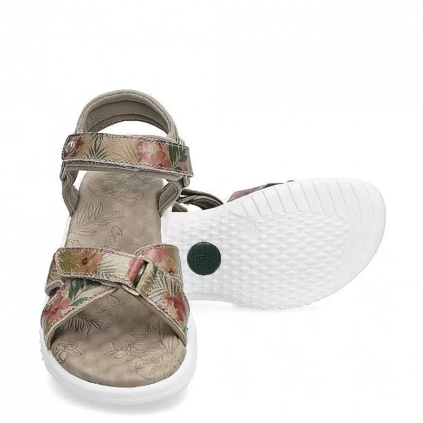 noja_tropical_4-1.webp Noja Tropical^Panama Jack Clearance