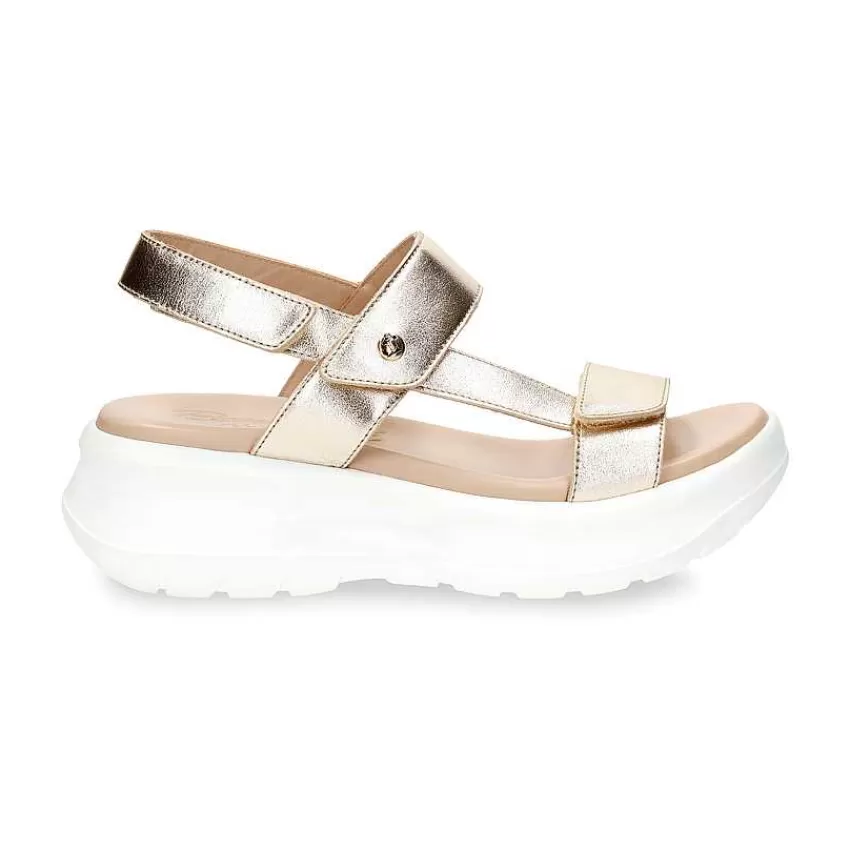 noor_shine_1.webp Noor Shine^Panama Jack Discount