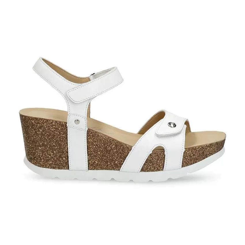 ruth_1-5.webp Ruth^Panama Jack Fashion