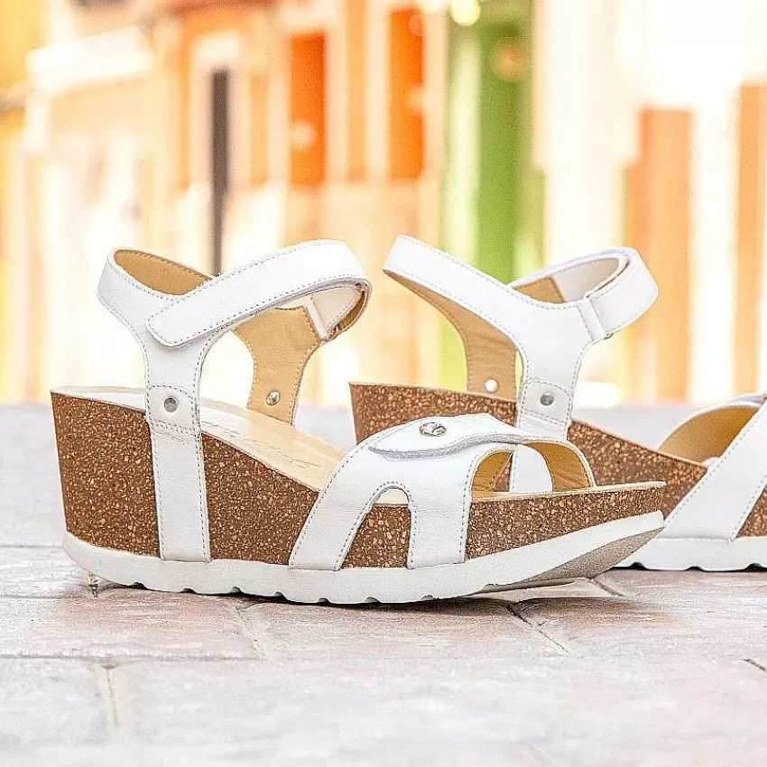 ruth_10-4.webp Ruth^Panama Jack Fashion