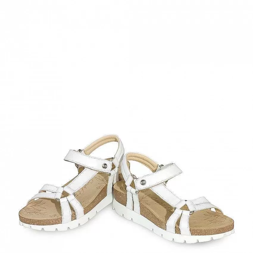 sally_basics_3-1.webp Sally Basics^Panama Jack Hot