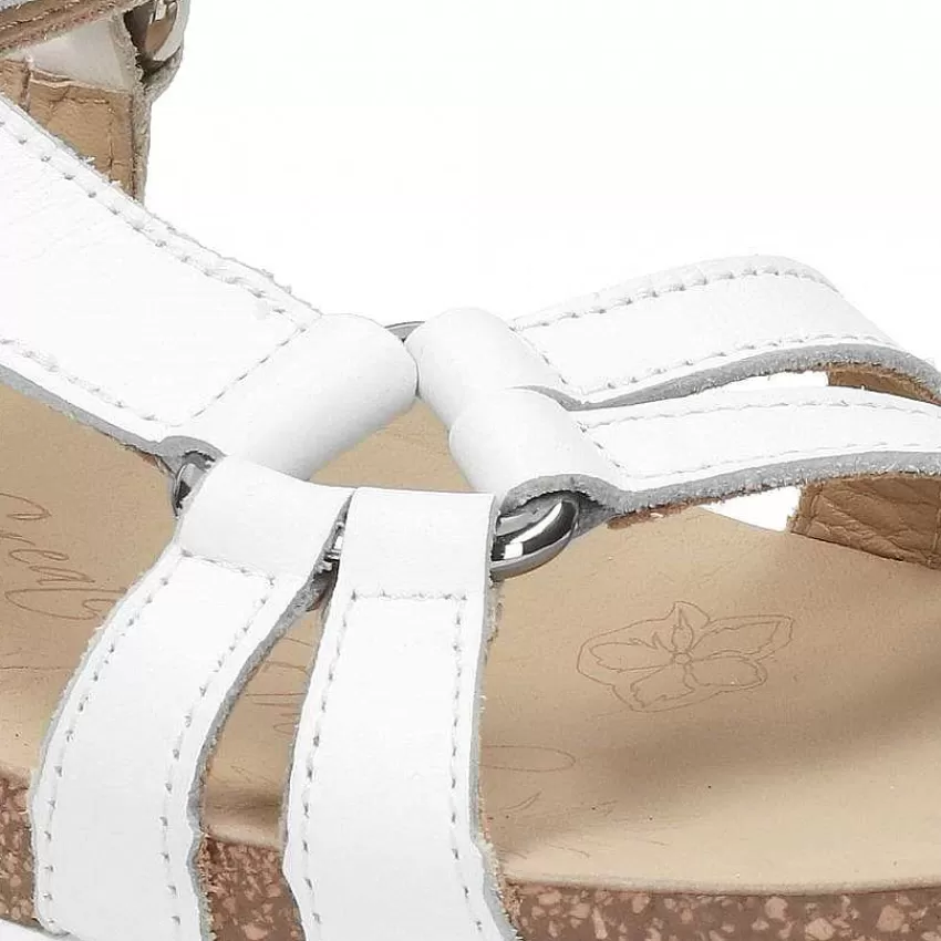 sally_basics_7-1.webp Sally Basics^Panama Jack Hot