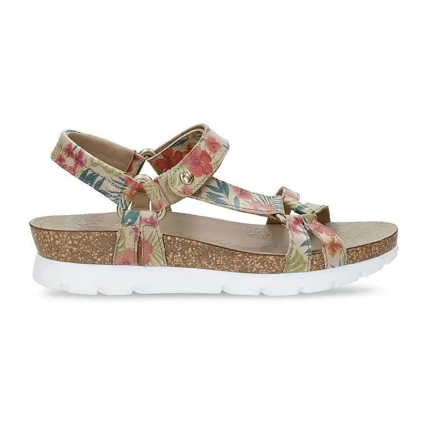 sally_tropical_1.webp Sally Tropical^Panama Jack New