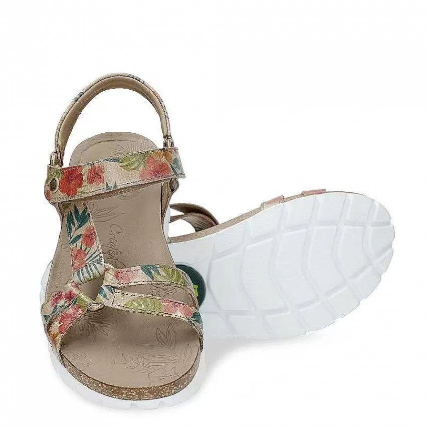 sally_tropical_4.webp Sally Tropical^Panama Jack New