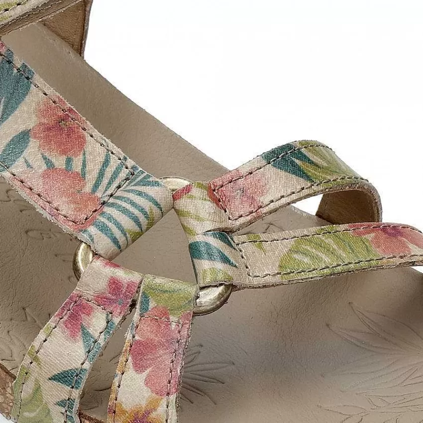 sally_tropical_7.webp Sally Tropical^Panama Jack New