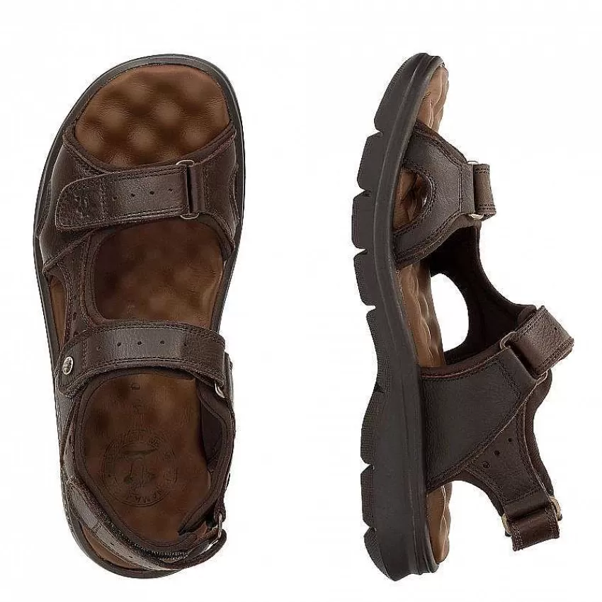 salton_6-1.webp Salton^Panama Jack Best