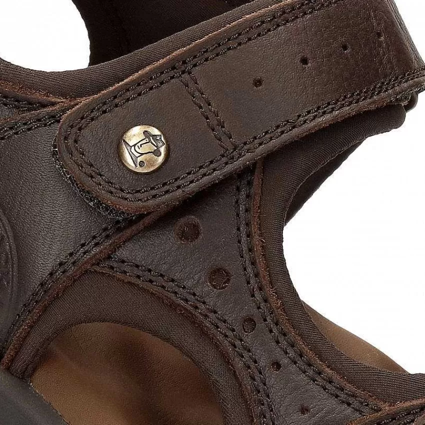 salton_7-1.webp Salton^Panama Jack Best