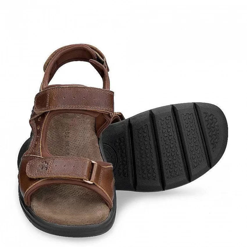 salton_basics_5.webp Salton Basics^Panama Jack Best Sale