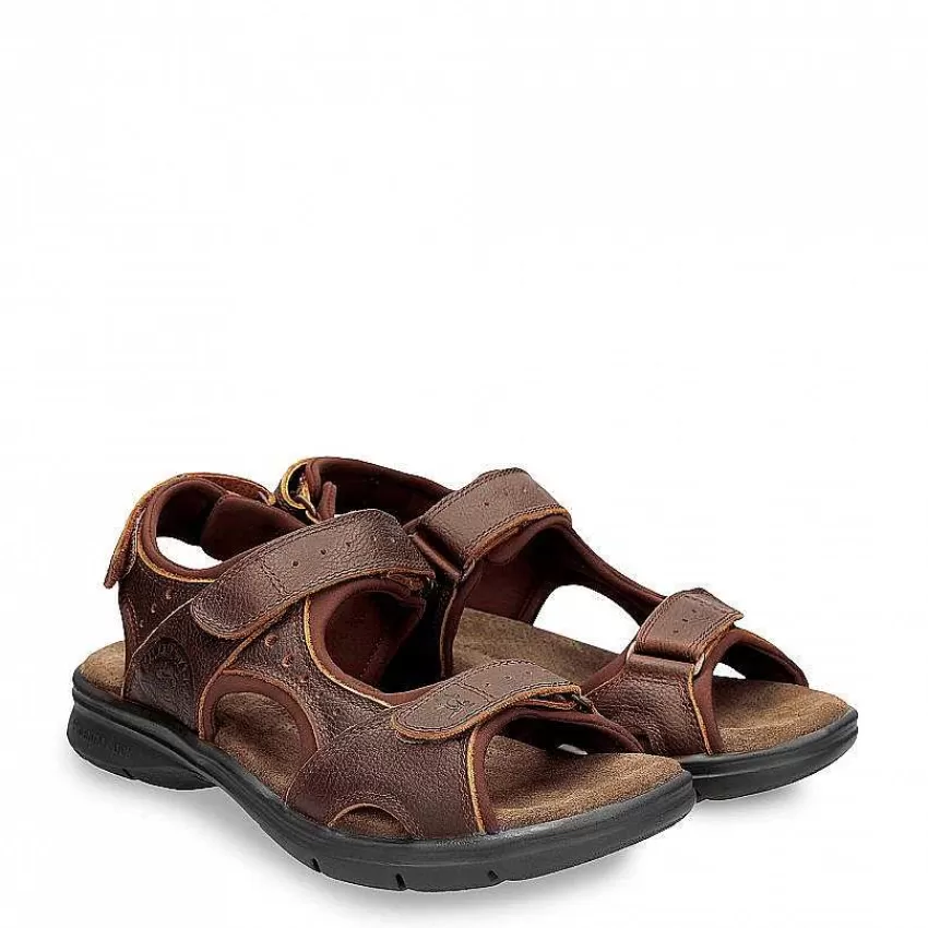 salton_basics_6.webp Salton Basics^Panama Jack Best Sale