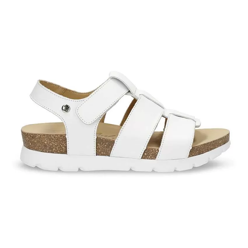 sammy_1-2.webp Sammy^Panama Jack Best