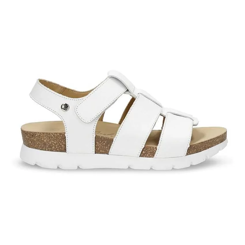 sammy_1-6.webp Sammy^Panama Jack Online