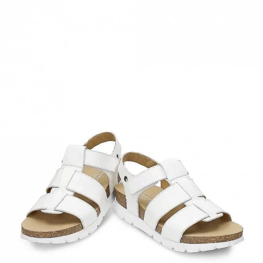 sammy_3-6.webp Sammy^Panama Jack Online