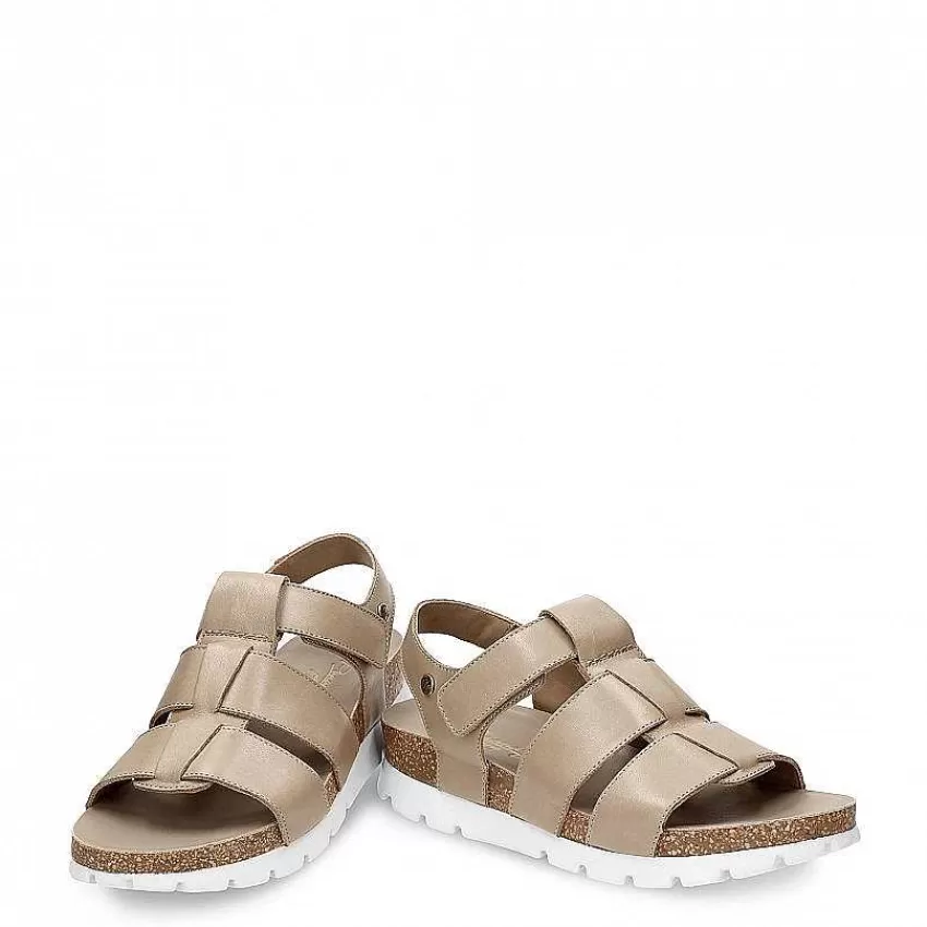 sammy_3-7.webp Sammy^Panama Jack Fashion