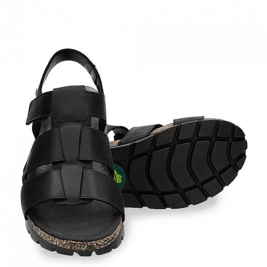 sammy_4-1.webp Sammy^Panama Jack Outlet