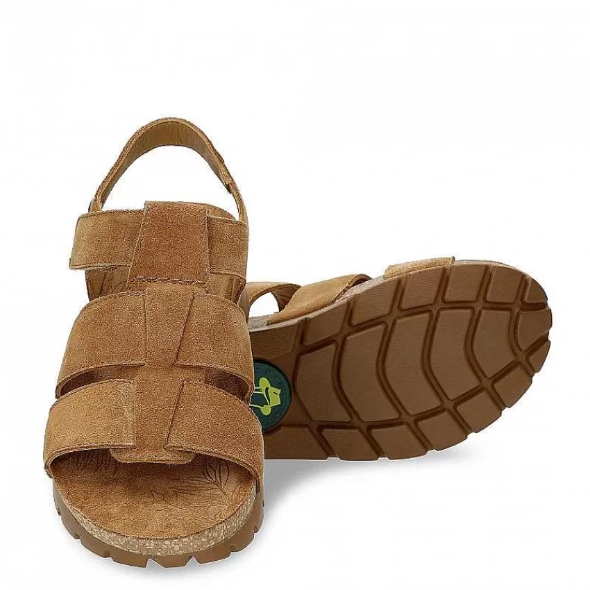 sammy_4-4.webp Sammy^Panama Jack New