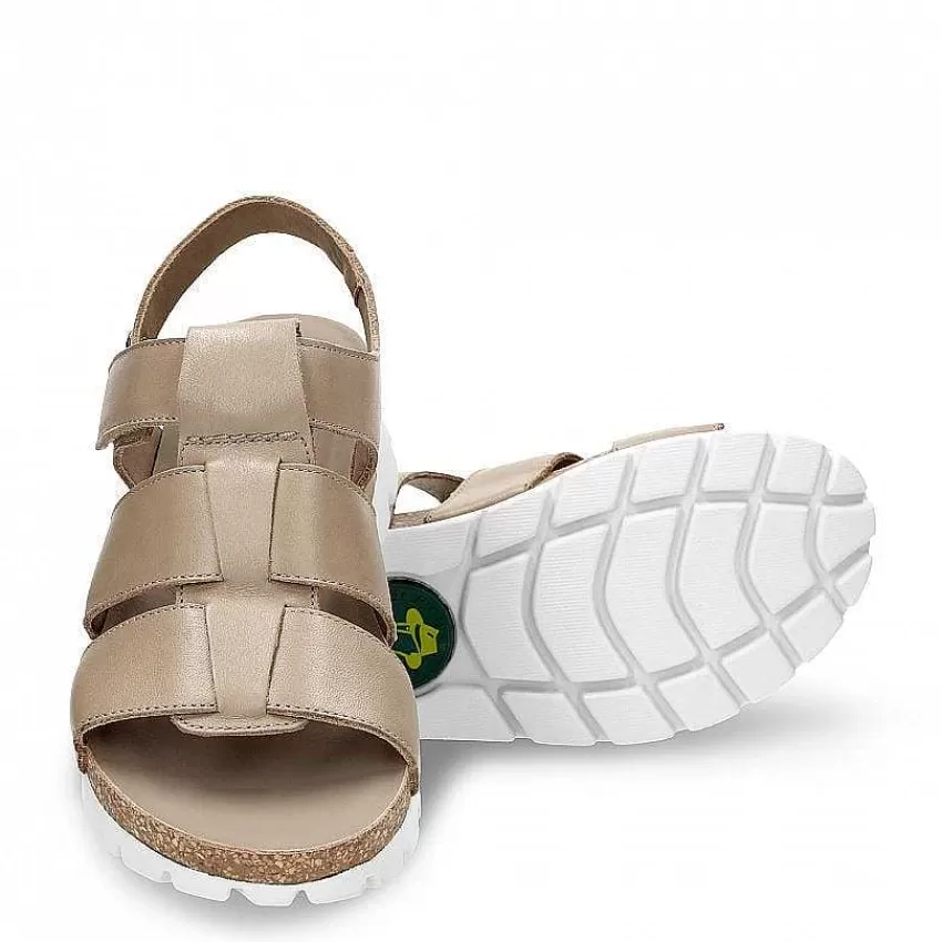 sammy_4-7.webp Sammy^Panama Jack Fashion