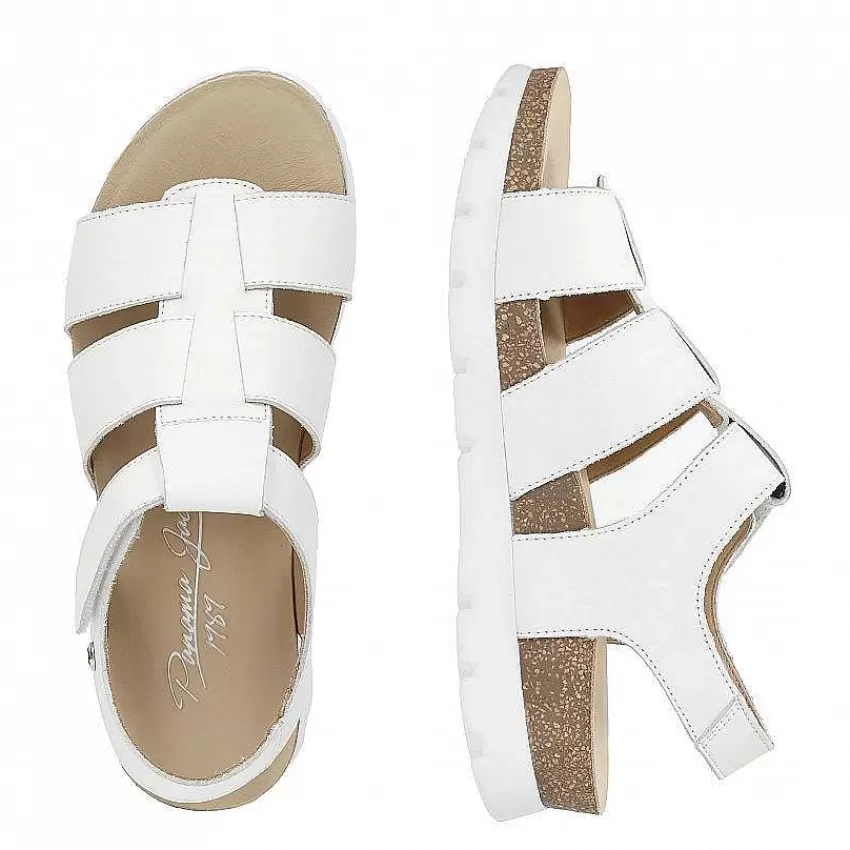 sammy_6-6.webp Sammy^Panama Jack Online