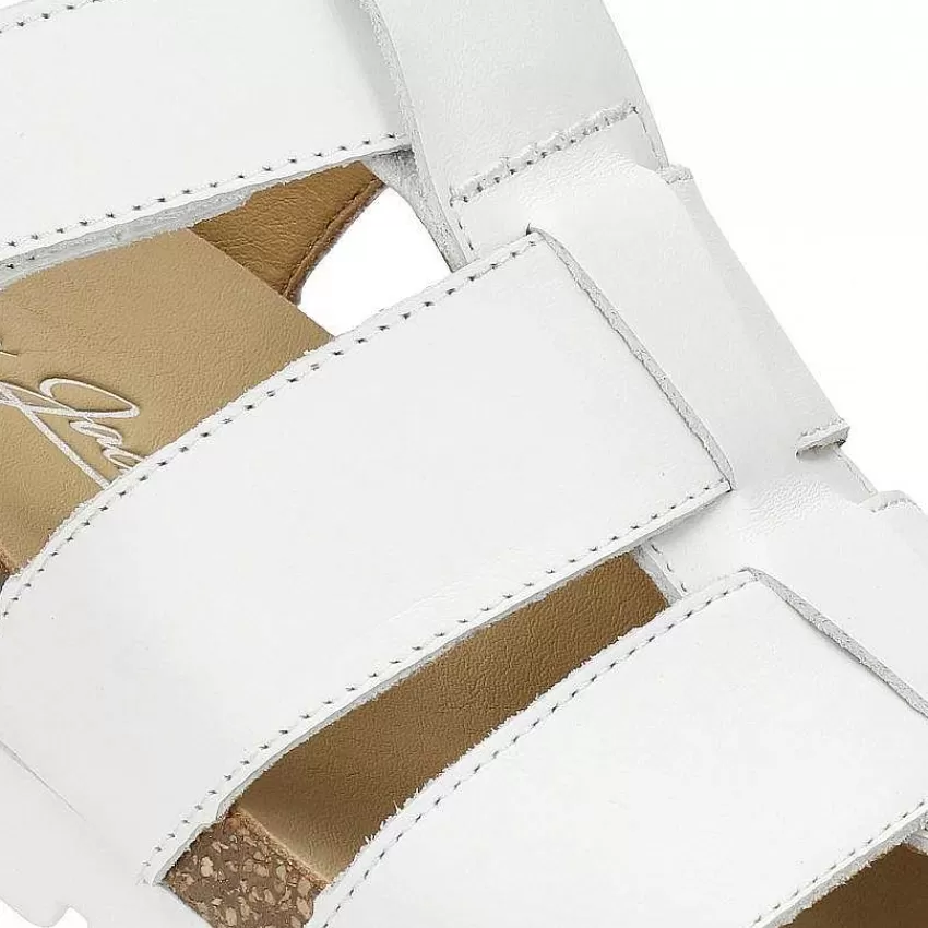 sammy_7-2.webp Sammy^Panama Jack Best