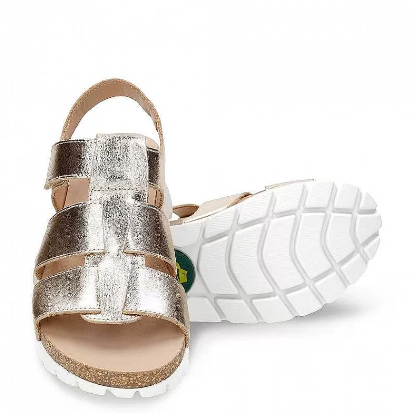 sammy_shine_4-1.webp Sammy Shine^Panama Jack Sale