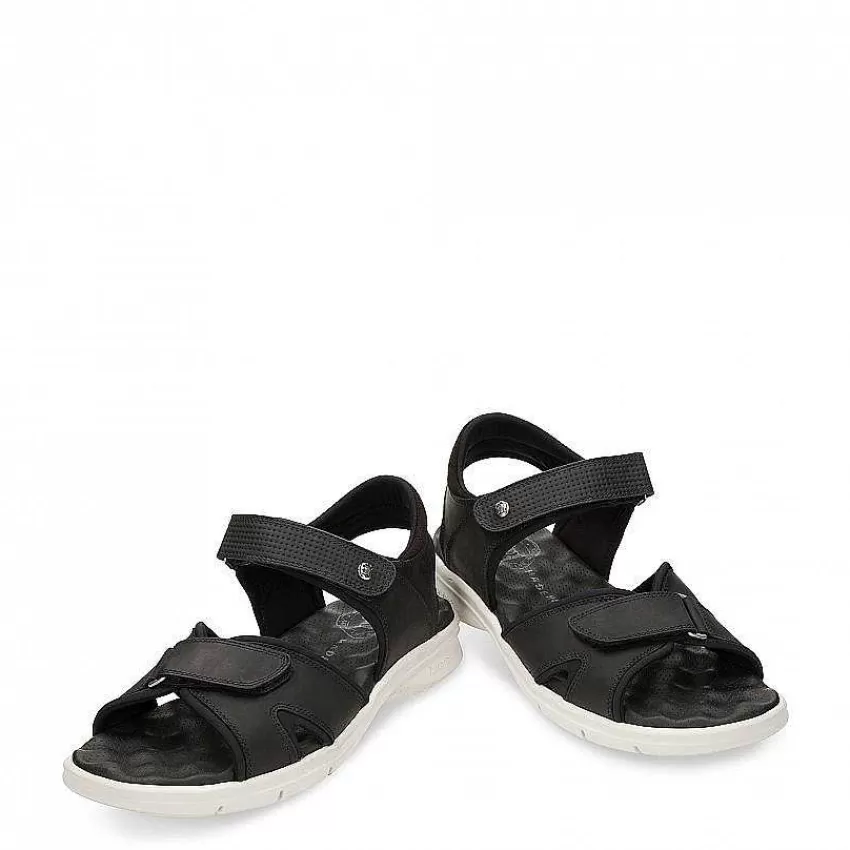 sanders_3-1.webp Sanders^Panama Jack Online