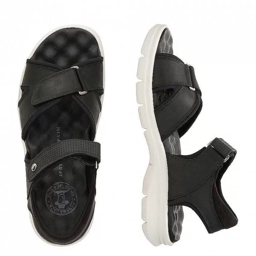 sanders_6-1.webp Sanders^Panama Jack Online