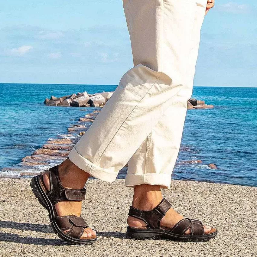 sanders_basics_10-1.webp Sanders Basics^Panama Jack Shop