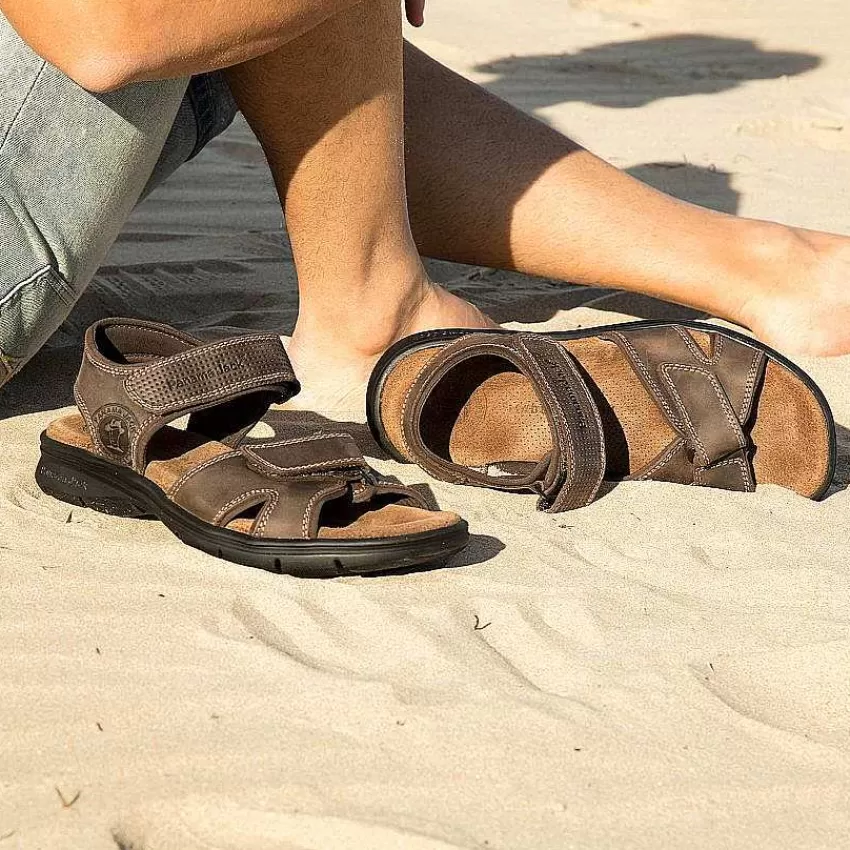 sanders_basics_2.webp Sanders Basics^Panama Jack Flash Sale