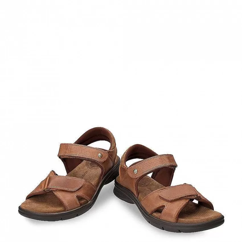 sanders_basics_3-3.webp Sanders Basics^Panama Jack Outlet