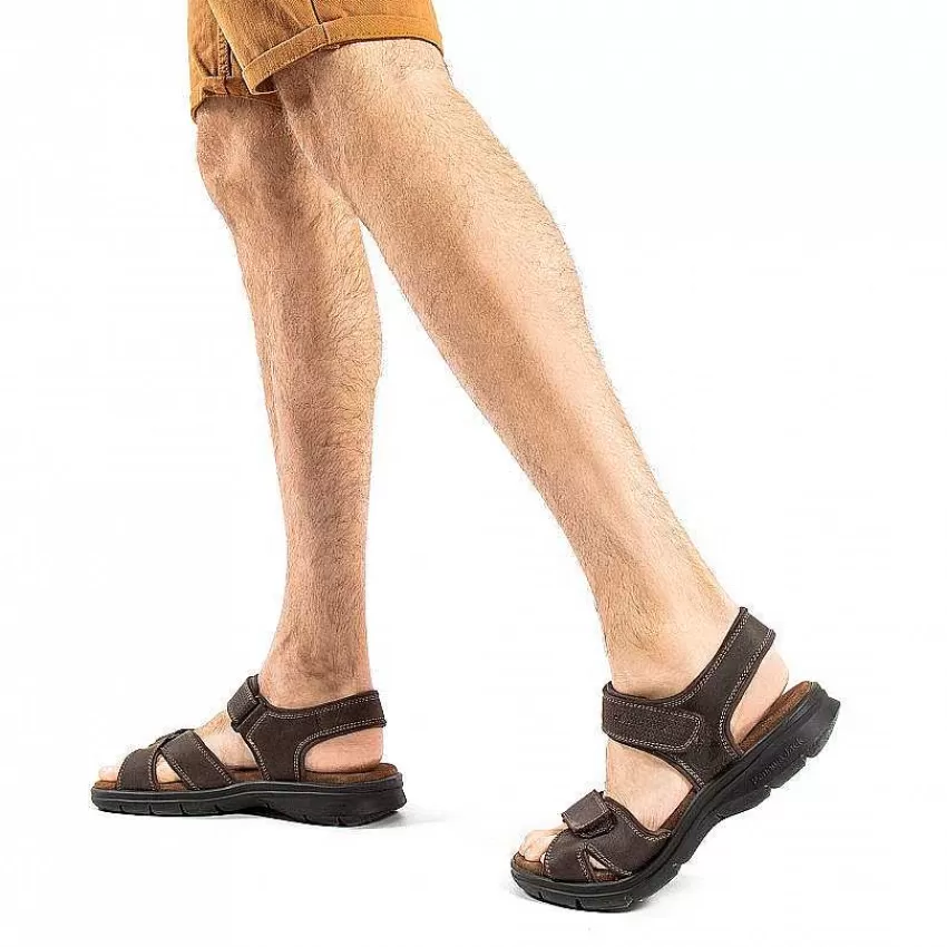 sanders_basics_3.webp Sanders Basics^Panama Jack Flash Sale