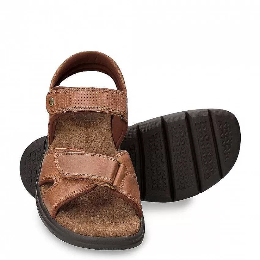 sanders_basics_4-1.webp Sanders Basics^Panama Jack Clearance