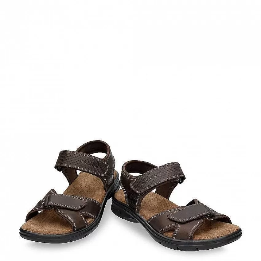 sanders_basics_4.webp Sanders Basics^Panama Jack Flash Sale