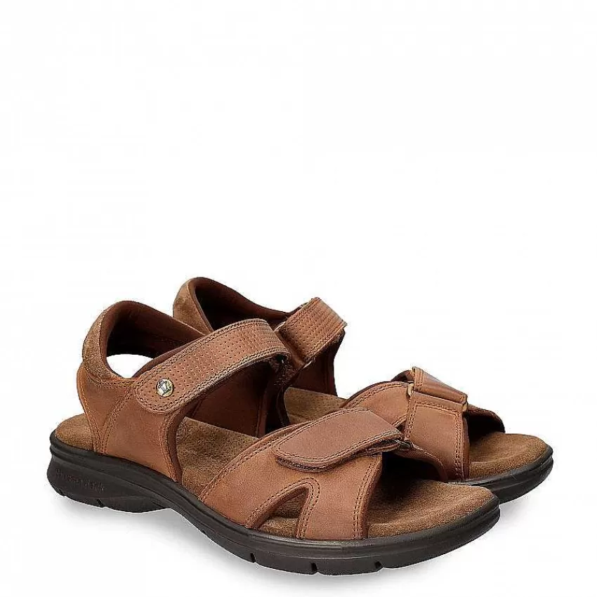 sanders_basics_5-3.webp Sanders Basics^Panama Jack Outlet