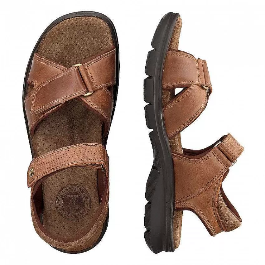 sanders_basics_6-3.webp Sanders Basics^Panama Jack Outlet