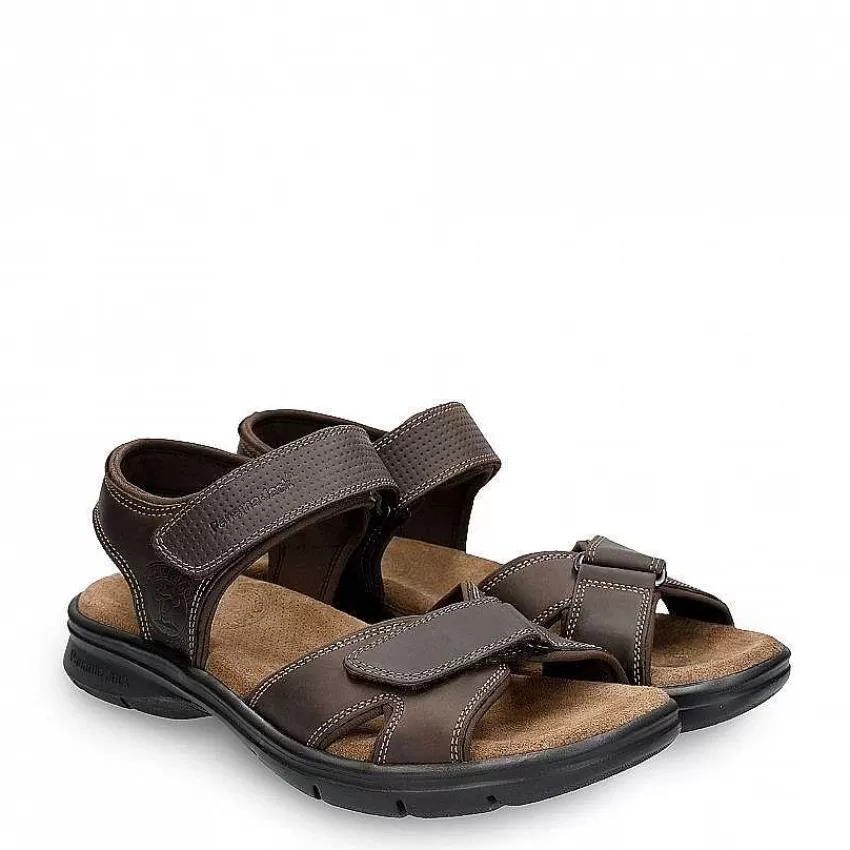 sanders_basics_6.webp Sanders Basics^Panama Jack Flash Sale