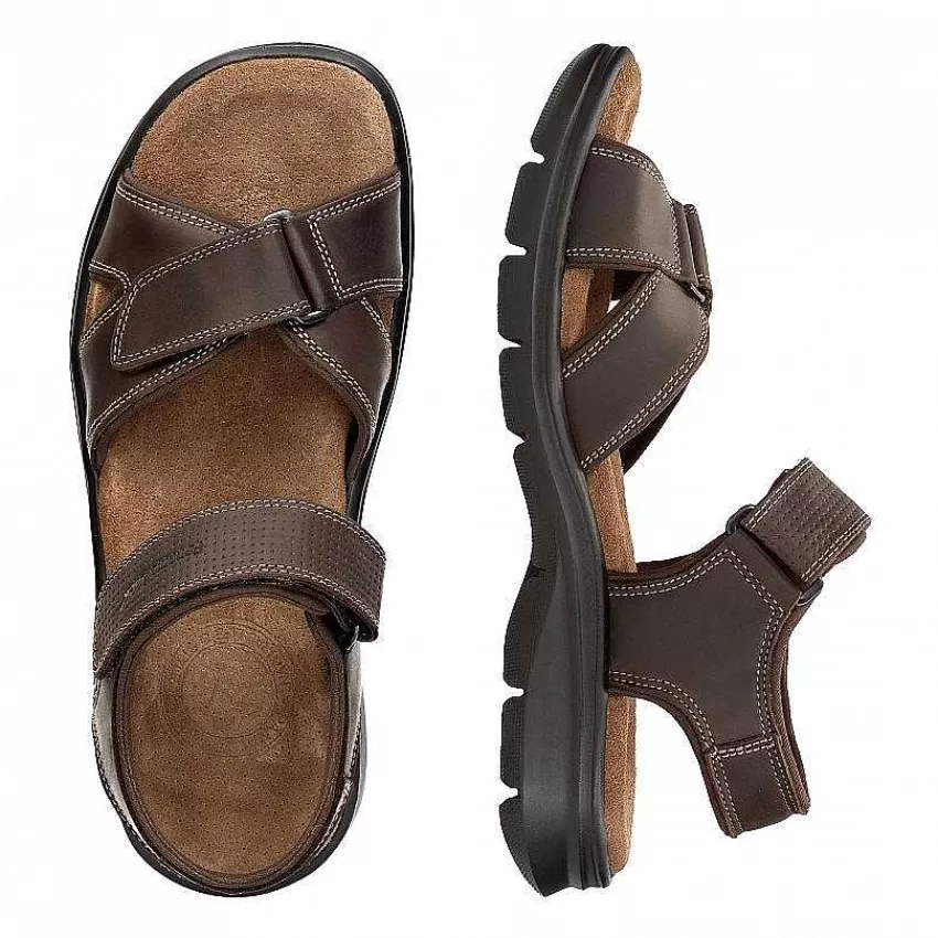 sanders_basics_7-2.webp Sanders Basics^Panama Jack Shop