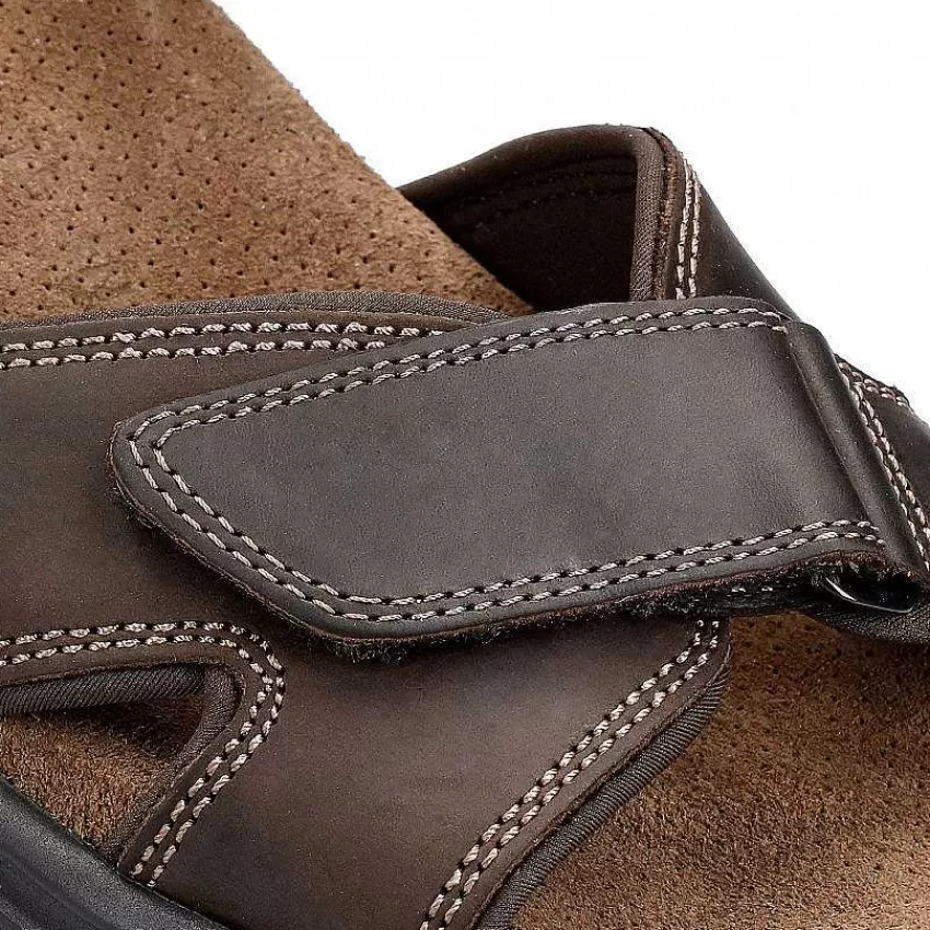 sanders_basics_8-2.webp Sanders Basics^Panama Jack Shop