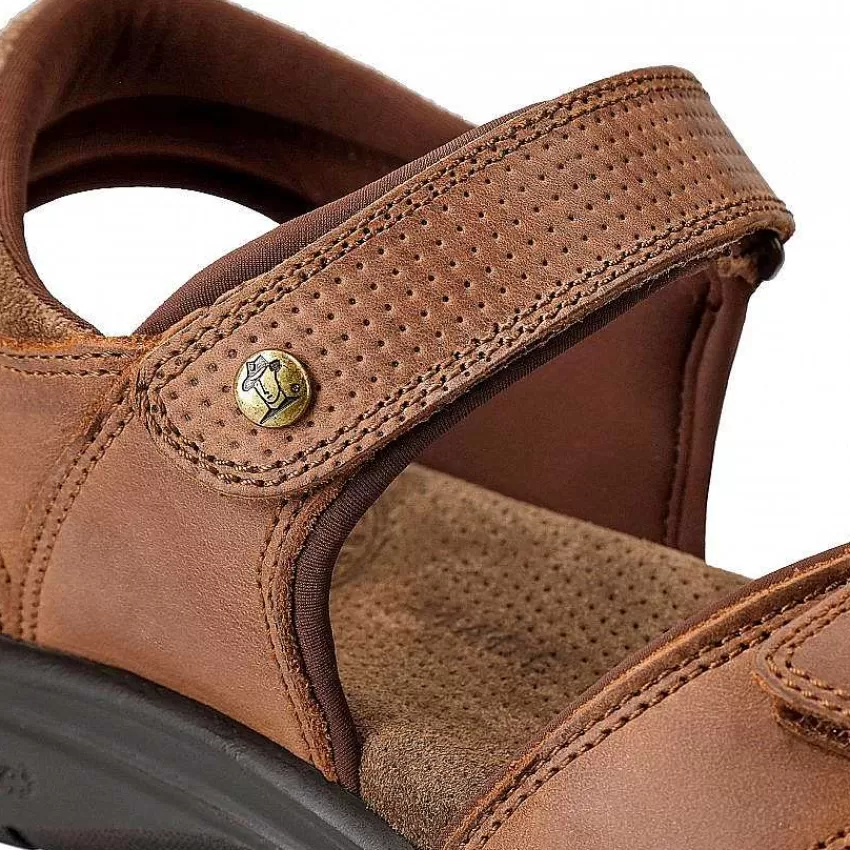 sanders_basics_8-3.webp Sanders Basics^Panama Jack Outlet